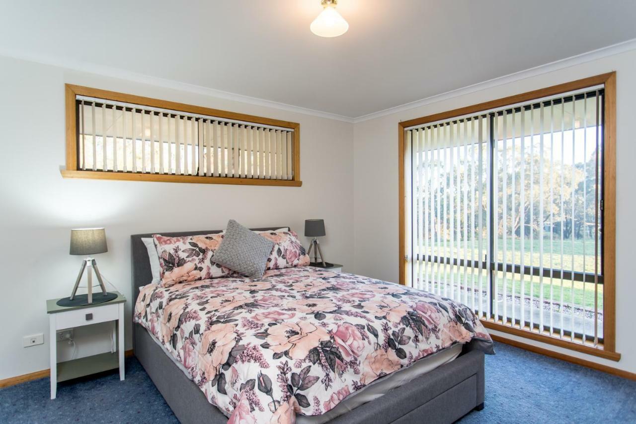 Acton Park Holiday Units Kültér fotó